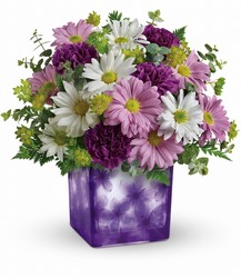 Dancing Violets Bouquet Cottage Florist Lakeland Fl 33813 Premium Flowers lakeland